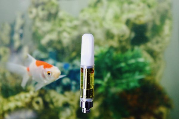 iCannBe Delta-8 Concentrate Vape Cartridge Fish Background