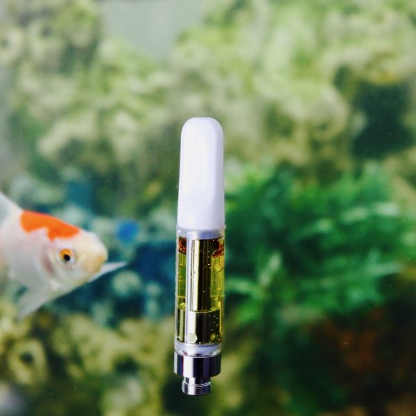 iCannBe Delta-8 Concentrate Vape Cartridge Fish Background